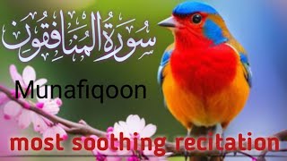 Surha MunafiqoonMunafiqoon surat fullMunaafiqonQuran recitationQuranic [upl. by Ressan]