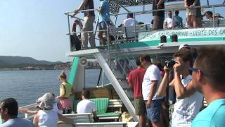 corse propriano balade en mer 2013 hd1080 [upl. by Akerue]