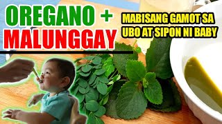 MABISANG GAMOT SA UBO AT SIPON NI BABY  MALUNGAY AT OREGANO [upl. by Casandra]