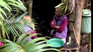 Im A Celebrity 2010 E7 P2 [upl. by Ennylcaj]