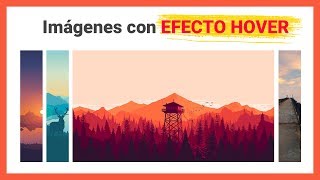 ¡GUAOO 😲 Imágenes con EFECTO HOVER con puro CSS  MagtimusPro [upl. by Ambros]