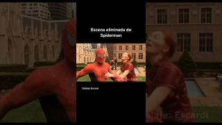 ESCENA ELIMINADA DE SPIDERMAN [upl. by Leirda]