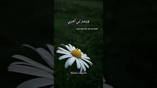 quranrecitation ahmedkhedr dua qurandua beautifulquranrecitation foryou shorts quranshorts [upl. by Willey]