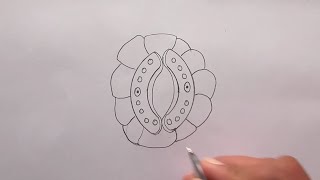 😇 How To Draw Stomata ❤️ fineartsguruji [upl. by Arrac]