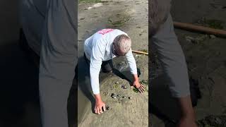 Clamming for steamers in Barnegat Bay [upl. by Vig]