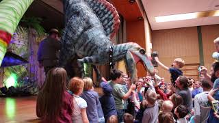 Die lebendige Dinosauriershow gastiert in AllendorfLumda [upl. by Simmie]