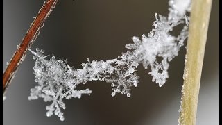 Winter Dance by UttaraKuru [upl. by Nrublim]