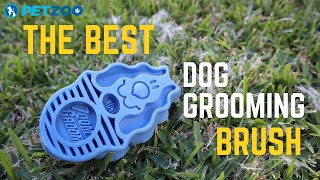 How to DeShed your Dog FAST  KONG ZoomGroom Dog Grooming Rubber Brush [upl. by Calise]