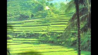 The Balinese traditional Bambu amp flute Music [upl. by Jaycee]