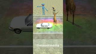 animal crossing the road challenged 길건너친구들 zoonomaly accident crossing animal 동물 friend [upl. by Onez]