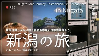 Vlog Niigata Food Journey Taste delicious sushi and sake [upl. by Anaiek]