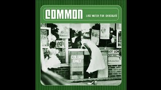 Common  The Light Instrumental [upl. by Meta]