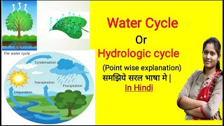 Water cycle  Hydrological cycle  Evaporation Transpiration Condensation Precipitation [upl. by Sender]