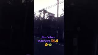 Bus vibes induruwa srilanka bus fish fishing actress love shortsvideo shortsfeed sasha 🇱🇰 [upl. by Metabel]