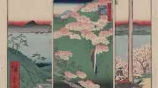 Cherry Blossom Viewing over the Centuries Cherry Blossoms in Japanese Culture [upl. by Aikemet]