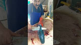 Master Fish Cutting Skills Revealed fishcutting [upl. by Elletnuahc]