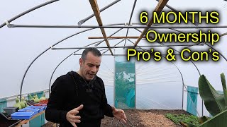 My thoughts On My Northern Polytunnel After 6 Months [upl. by Dyane]