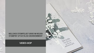 VideoHop quotWelches Stempelset wird im neuen Stampin Up Katalog übernommenquot [upl. by Ardiedak]