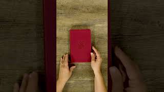 NLT Thinline Reference Bible FilamentEnabled Edition  Aurora Cranberry cover  Bestseller [upl. by Ahseia]