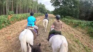 Thetford Forest ride out picnic and paddling [upl. by Akaya556]