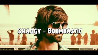 Shaggy  Mr Boombastic Lyrics ENG  EPS [upl. by Curcio]