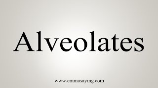 How To Say Alveolates [upl. by Eelanej]