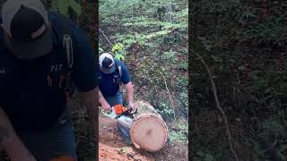 Ported Stihl ms500ifirst cuts new cylinder dannywhelchel4801 chainsawstihl chainsaw [upl. by Aokek]