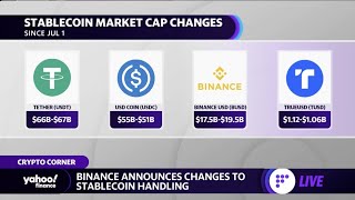 Binance announces changes to stablecoin handling bitcoin falls below 20000 [upl. by Kenon]