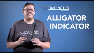 Alligator Indicator Explained [upl. by Jadda]