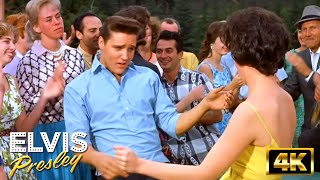 Elvis Presley Songs I Got Lucky From Kid Galahad  Elvis Presley Movies  4K [upl. by Eirallih]