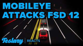 Mobileye CEO Criticizes Teslas AI FSD 12 While Wall Streets AI Analyst Praises Full Self Driving [upl. by Akinek811]