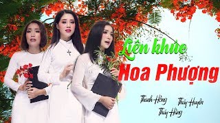 Liên Khúc Hoa Phượng  Siêu Phẩm Bolero Ba Chị Em  Thúy Huyền Thúy Hằng Thanh Hồng Official MV [upl. by Hsepid]