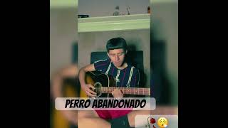 Perro Abandonado Ivan Cornejo guitarcover guitarsong acoustic [upl. by Bridges]