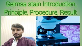 Giemsa stainGiemsa stain in Hindi Giemsa stain procedure [upl. by Hausner474]