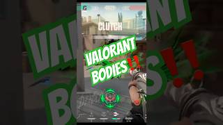 BODIES BODIES BODIESSSS‼️ valorant fade bodies snowfall franklinsaint reddit crashout fyp [upl. by Selwyn582]