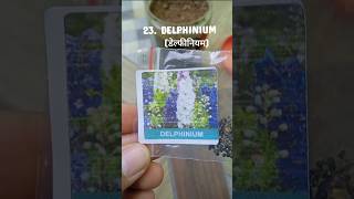 Delphiniumviralvideogardenflowersseedsplantsdelphiniumflowerseedsmeeshoreviewtourminivlog [upl. by Odilo]