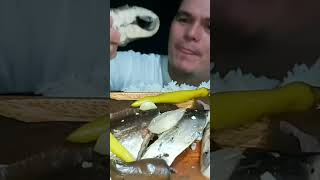 Eating Milkfish Bangus Belly shorts asmr mukbang eating fish food foodie fypシ fyp foryou [upl. by Enyaz]