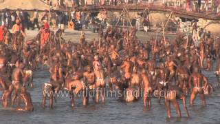 Best of Allahabad Kumbh mela  Worlds largest religious gathering [upl. by Hewart357]