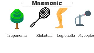 Mnemonic for gram stain poor Bacteria [upl. by Cappella]