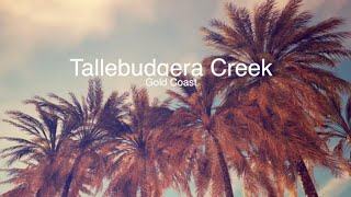 Tallebudgera Creek  the best place to camp on the Gold Coast [upl. by Nytsua]