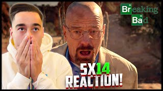 Breaking Bad 5x14 Ozymandias Reaction First Time Watching [upl. by De Witt]