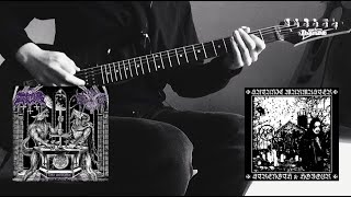 Satanic Warmaster  Wolves of Blood and Iron guitar cover [upl. by Pettiford688]