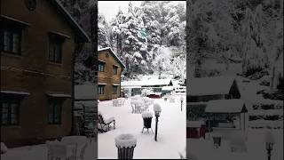 Fresh Snowfall in Dalhousie। Brij Villa Dalhousie। Snow is on its peak now travelat1stop dalhousie [upl. by Kazimir]