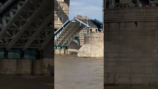 tower bridge London shortsfeed travel placestovisit shorts [upl. by Hendrick533]