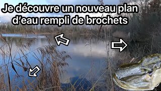 Pêche du brochet au illex dexter shad [upl. by Elleyoj]