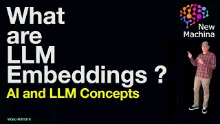 What are LLM Embeddings [upl. by Luckin509]