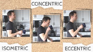 Isometric Concentric Eccentric  Types of Muscle Contraction Explained [upl. by Capone]