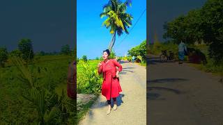 চিকন চাকন মানজা দোলে  jalaya Gela moner agun shorts new video [upl. by Htebesile]