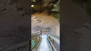 Nature Trail  Mohican State Park  Ohio [upl. by Auberon151]