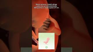 21 weeks pregnancy baby viralvideo [upl. by Atirec623]